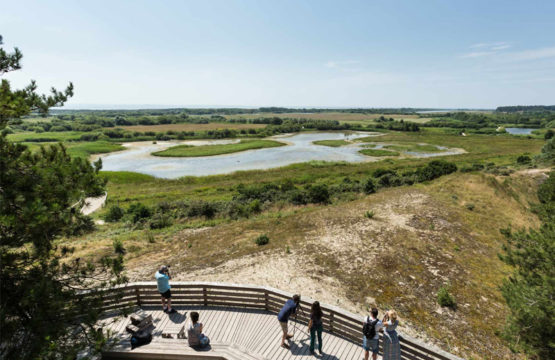 PARC DU MARQUENTERRE